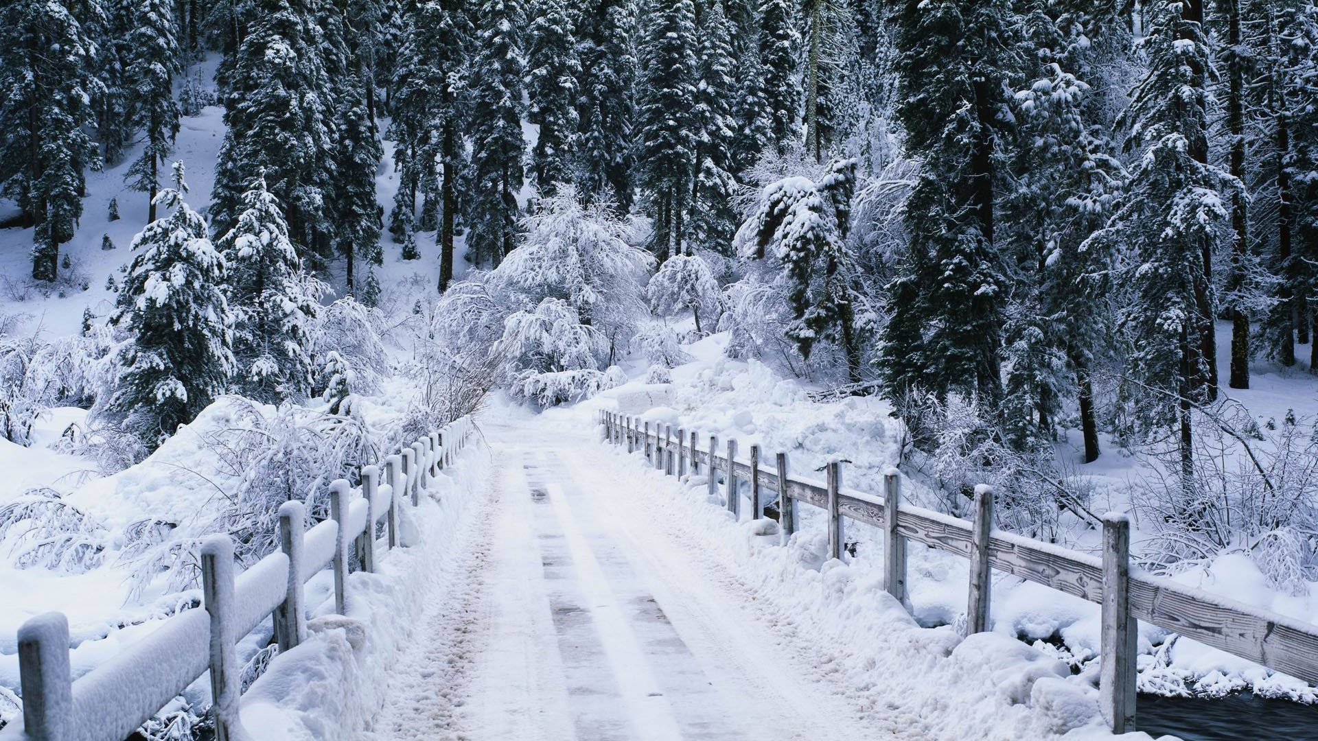 雪地美学刹车痕 壁纸