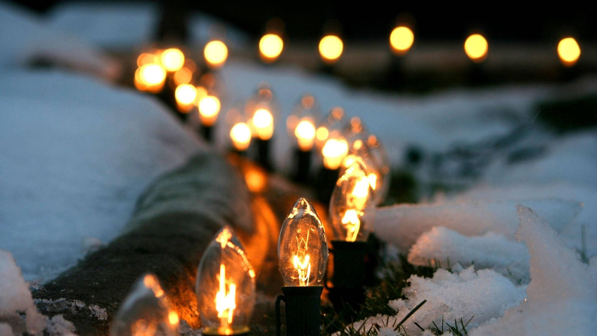 雪夜美学灯泡 壁纸