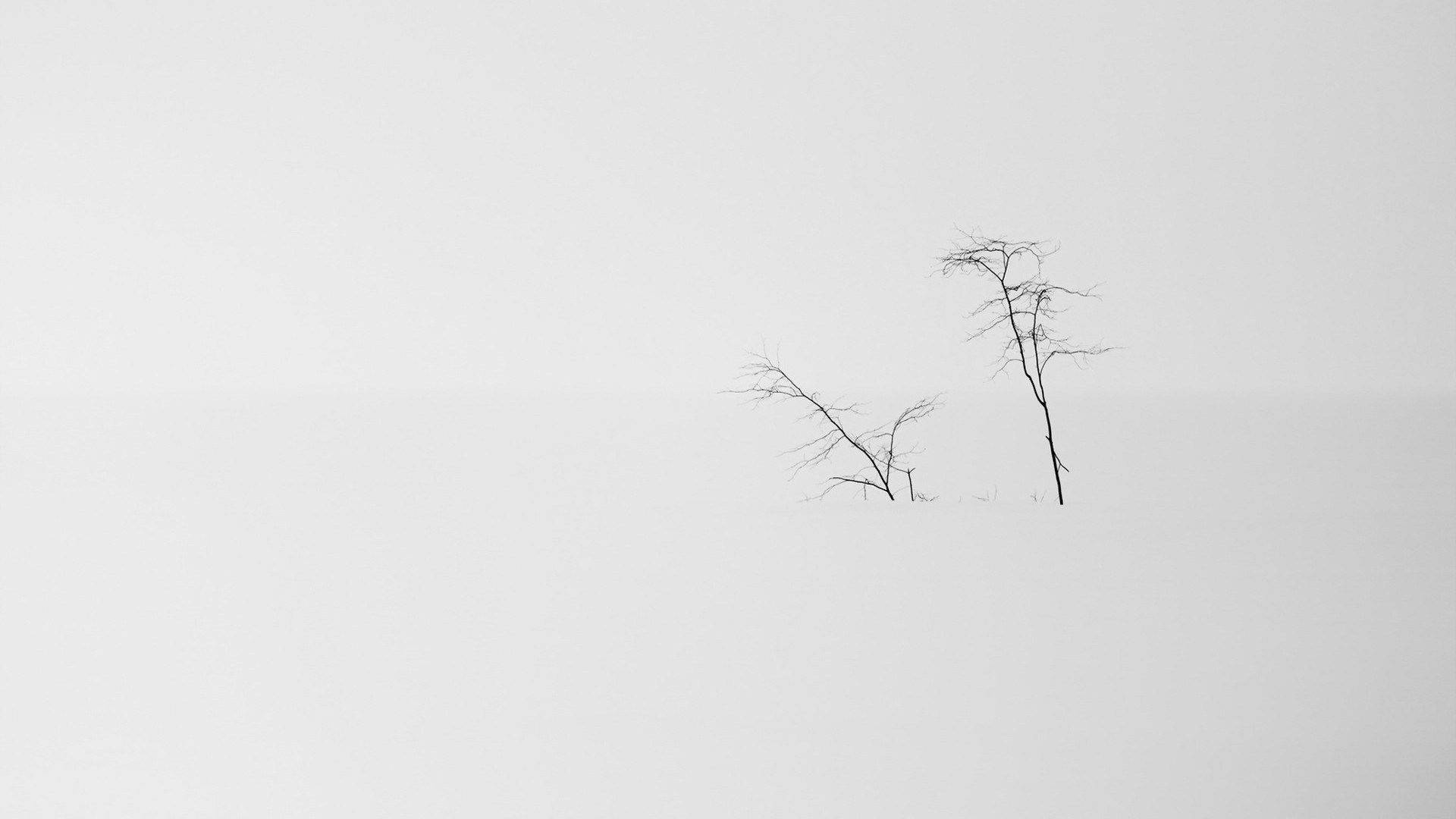 雪景极简美学笔记本电脑壁纸 壁纸