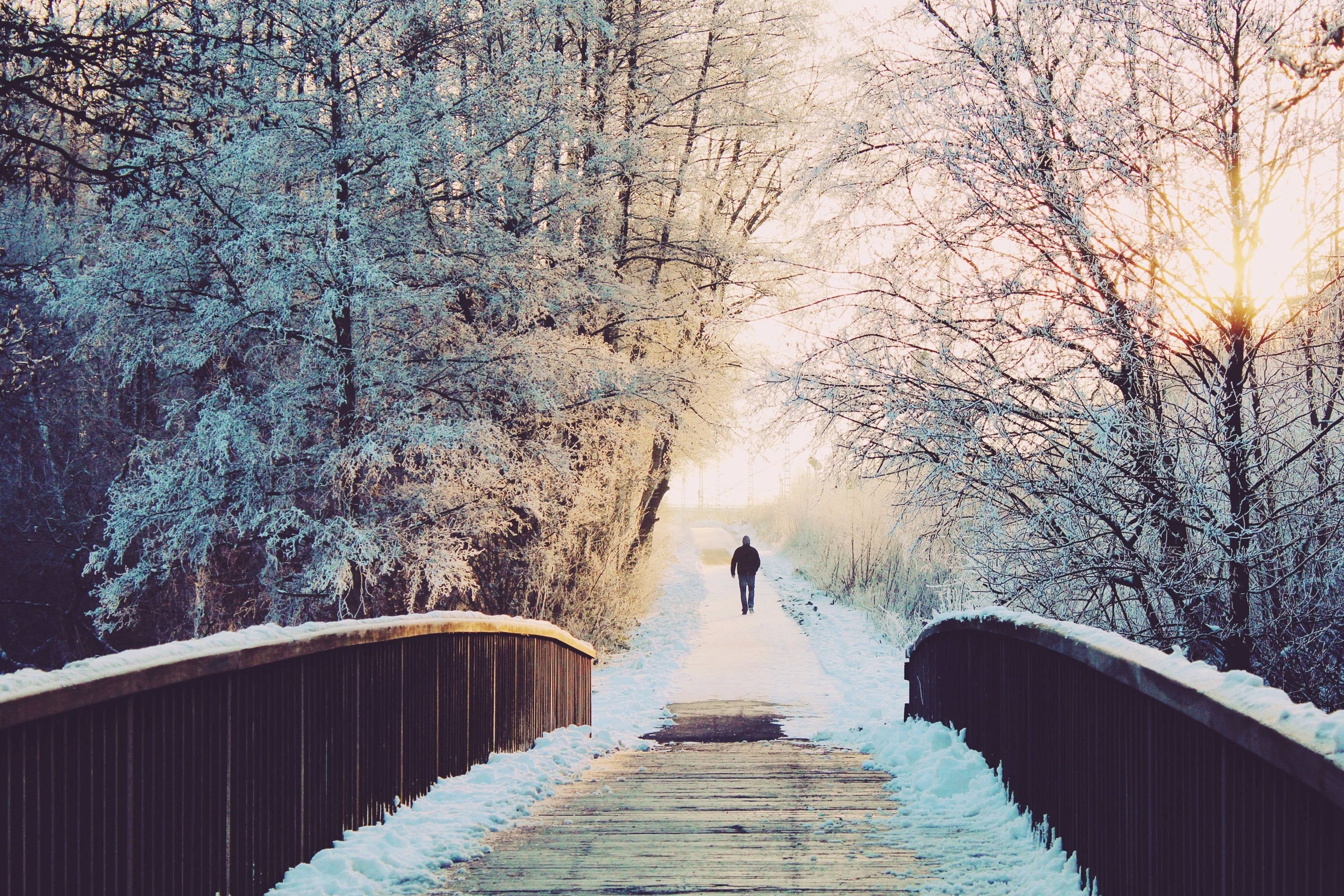 雪景美学小径 壁纸