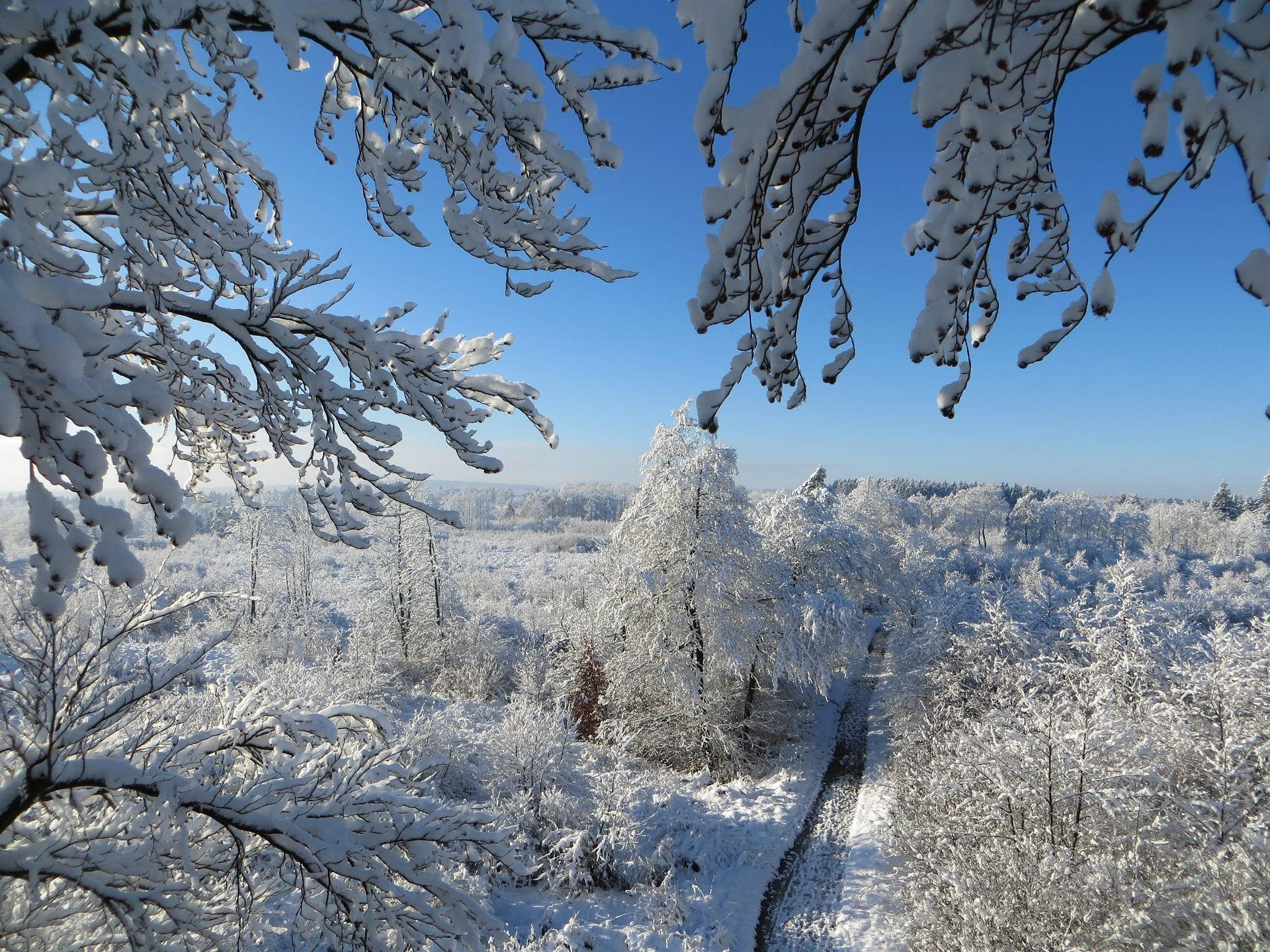雪景美学风光 壁纸