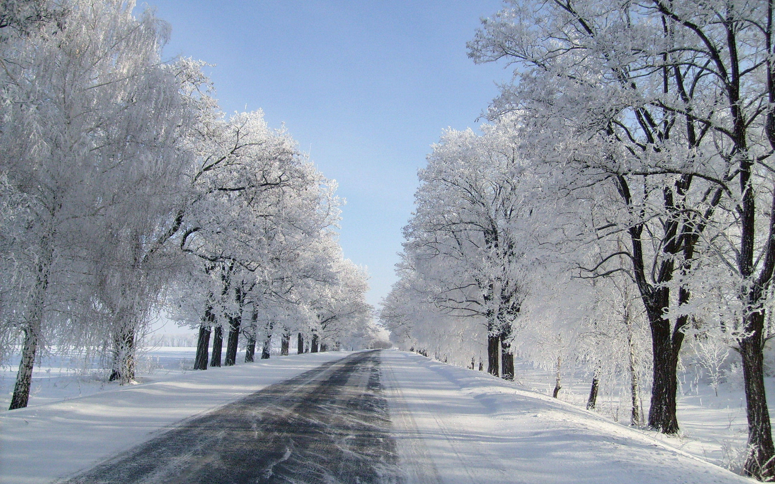 雪景美路 壁纸