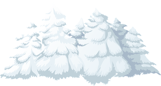 雪松矢量插画 壁纸