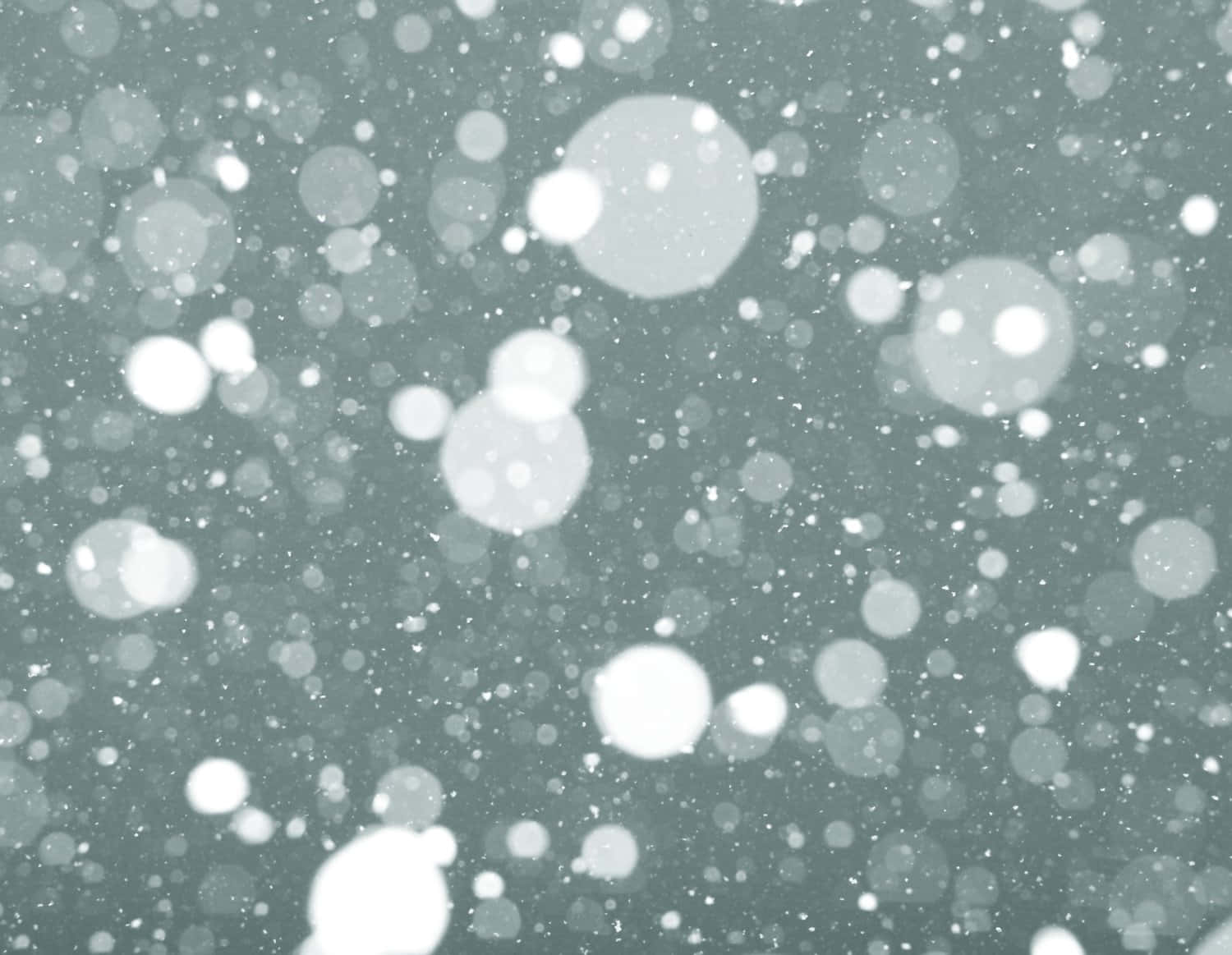 雪覆大地，梦幻唯美风光 壁纸