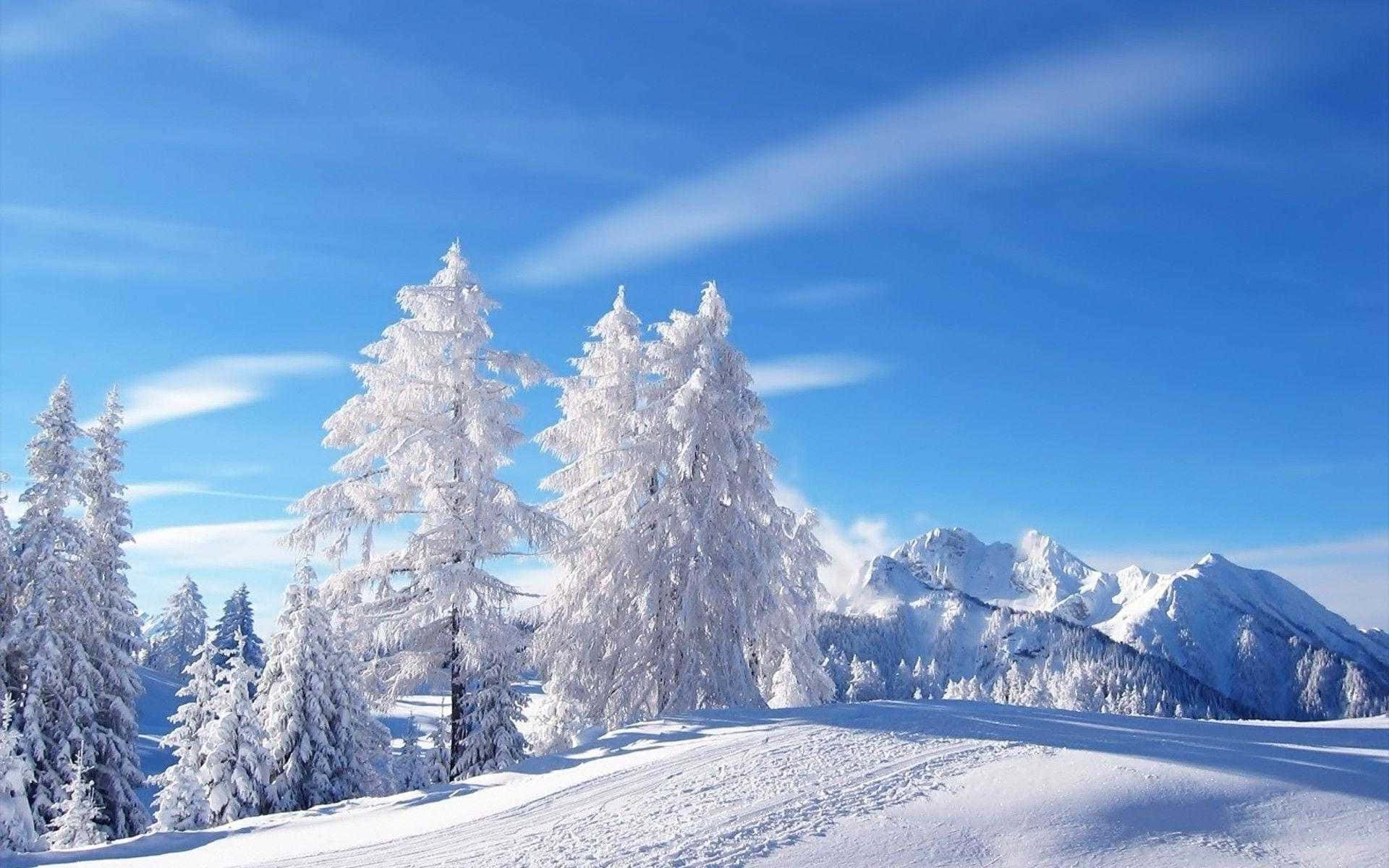 雪覆山峦冬日仙境背景 壁纸