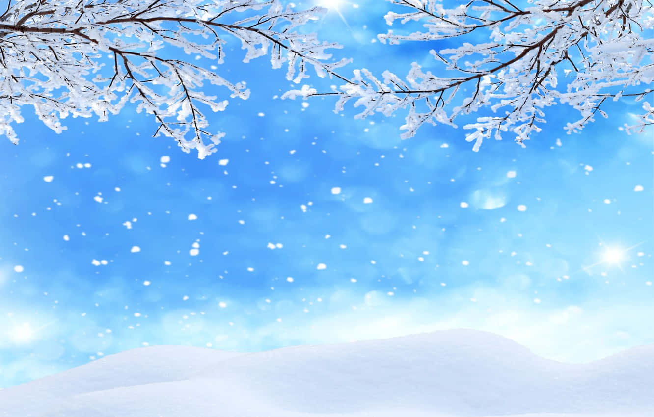 雪覆树木与飘雪落地 壁纸