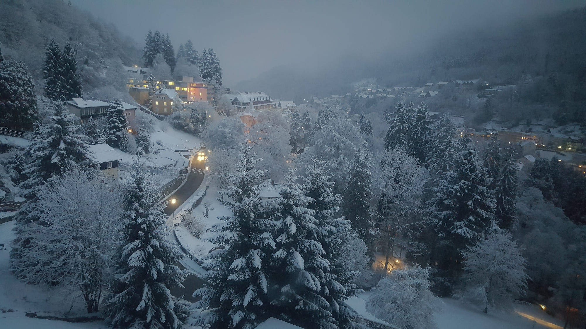 雪覆雾林 壁纸
