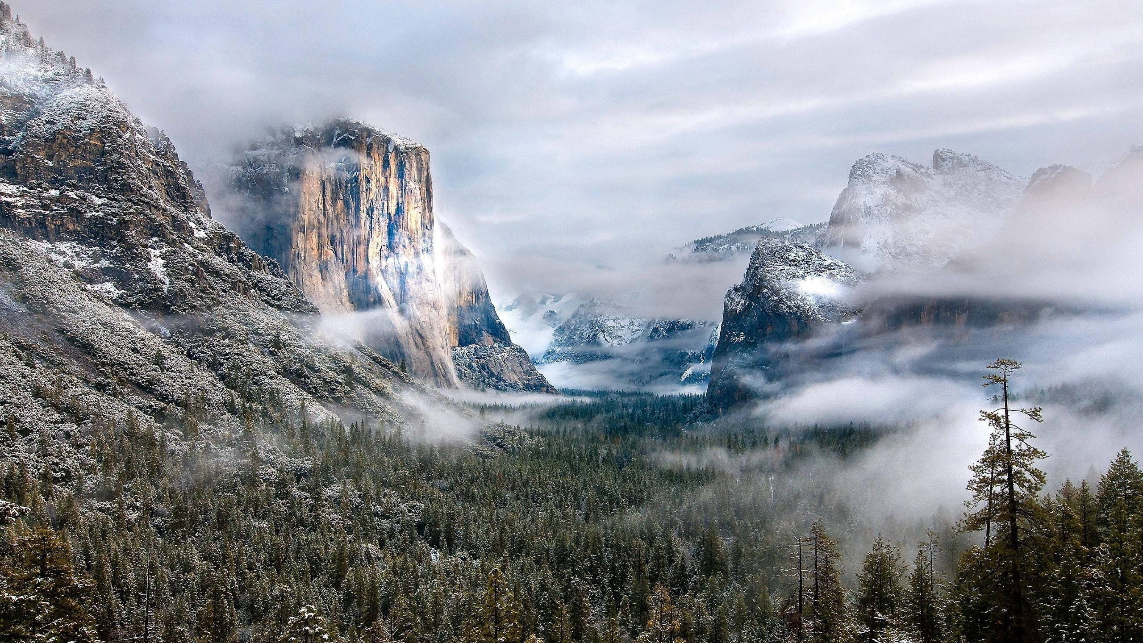 雾景风景 壁纸