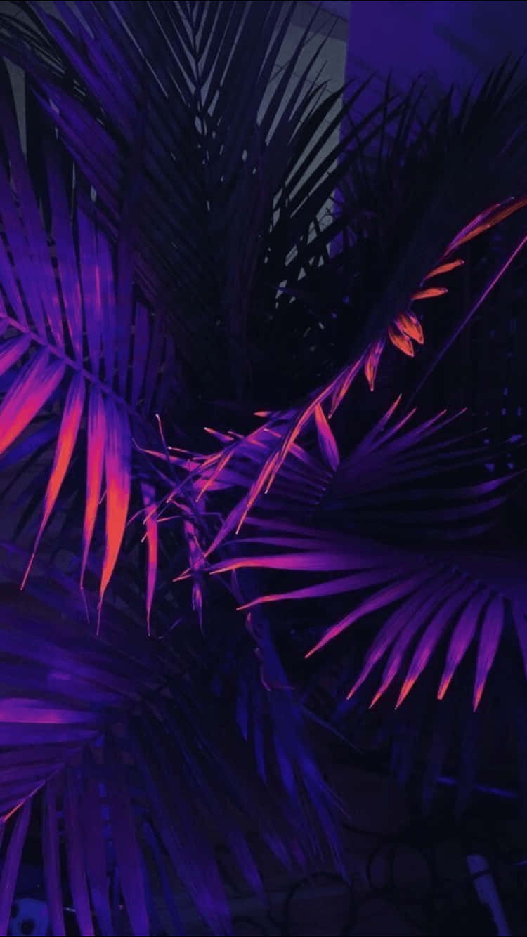 霓虹棕榈植物美学紫色背景 壁纸