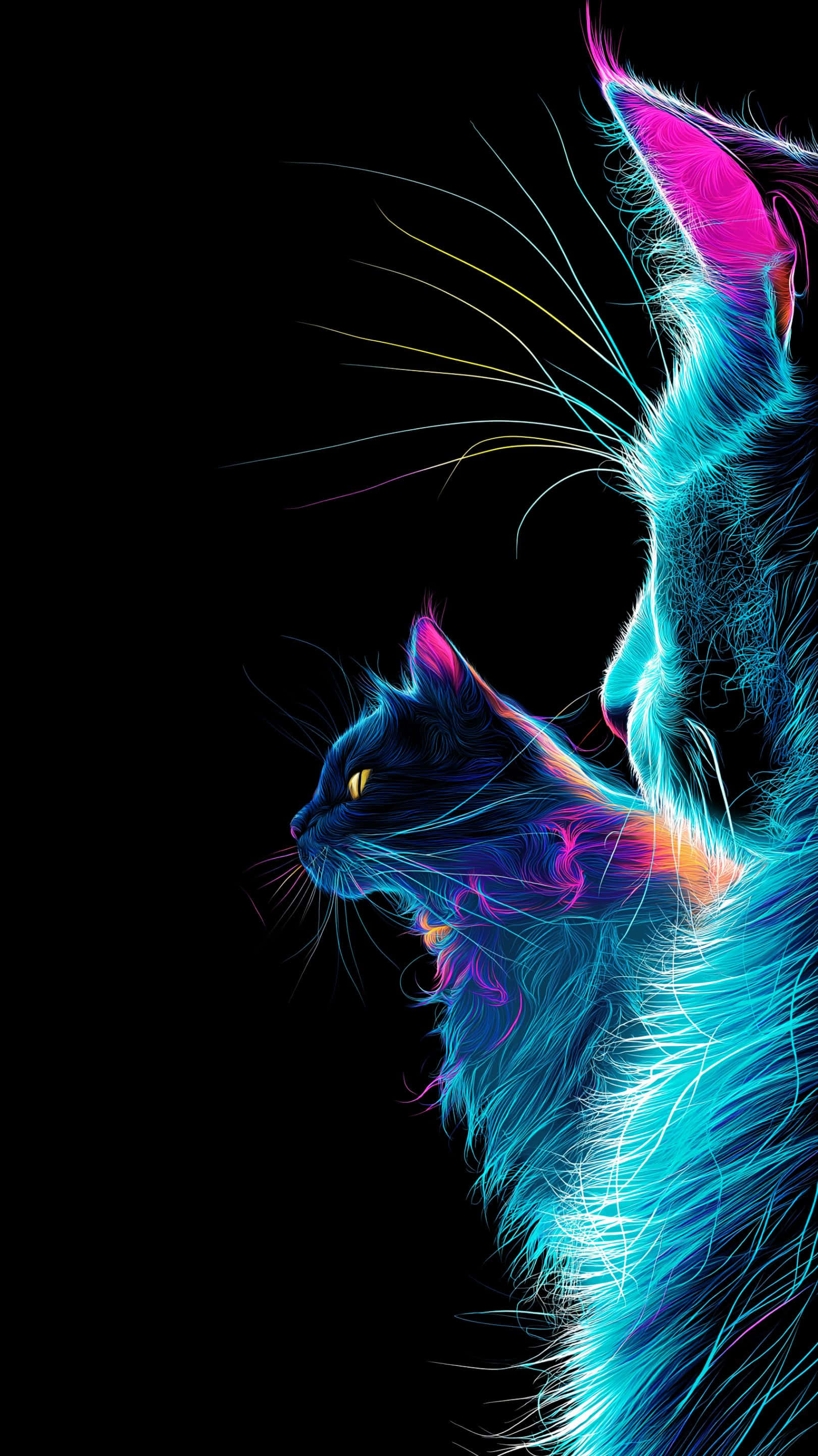 霓虹猫光：暗色背景下的两只神秘猫咪 壁纸
