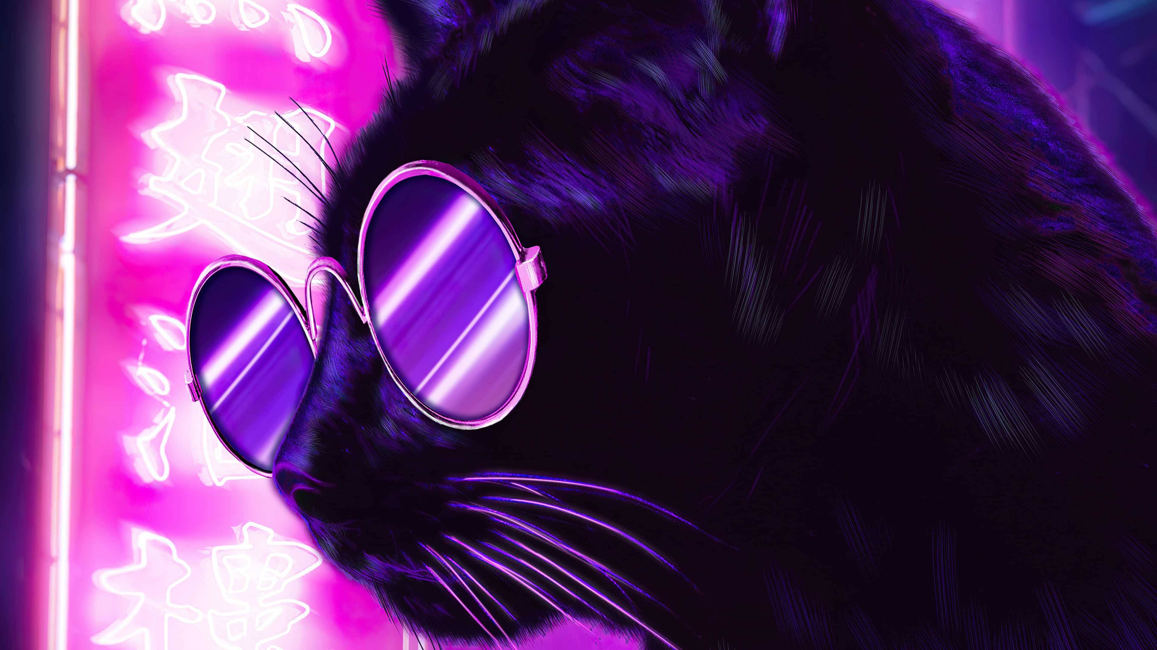 霓虹紫美学猫戴墨镜 壁纸
