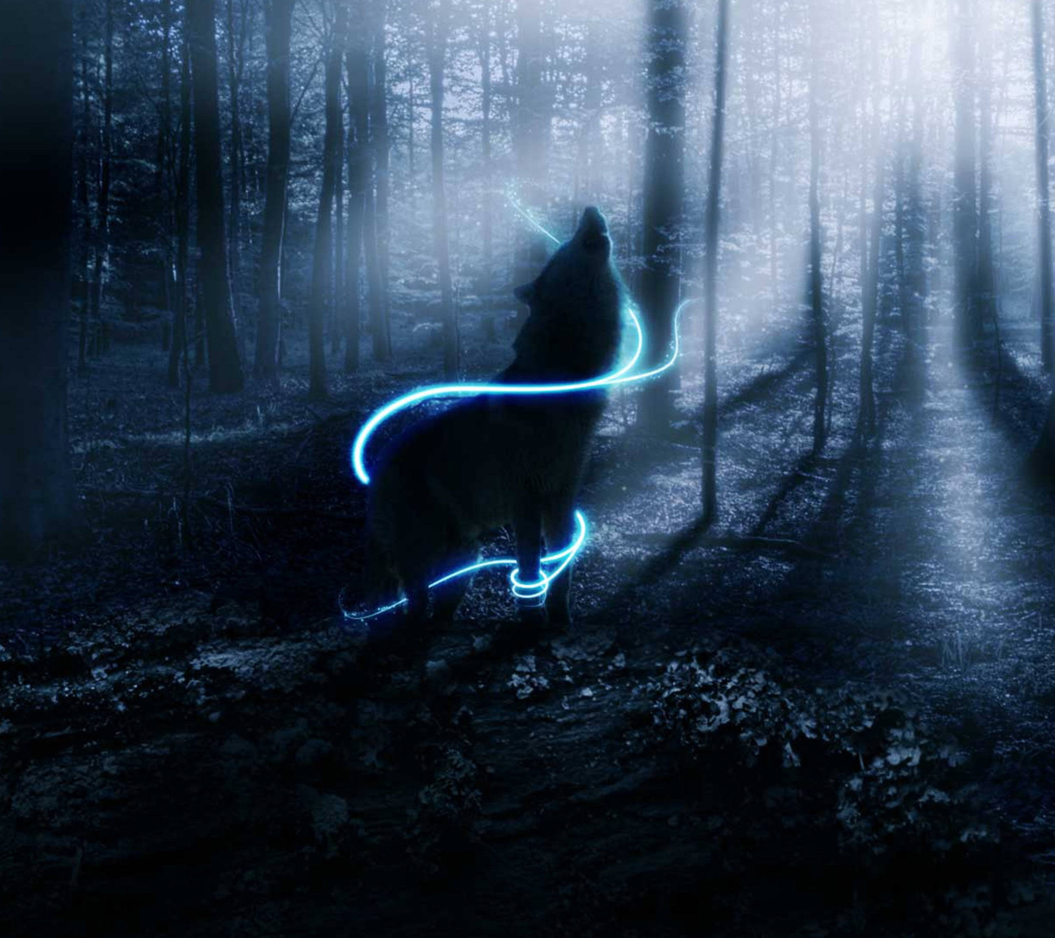 霓虹蓝动漫狼在梦幻森林中 壁纸