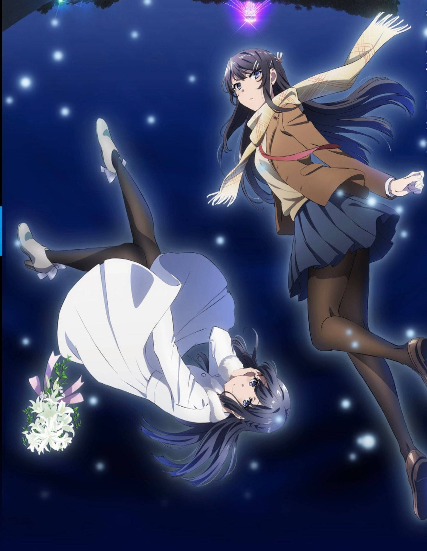 青春猪头少年不会梦到兔女郎学姐