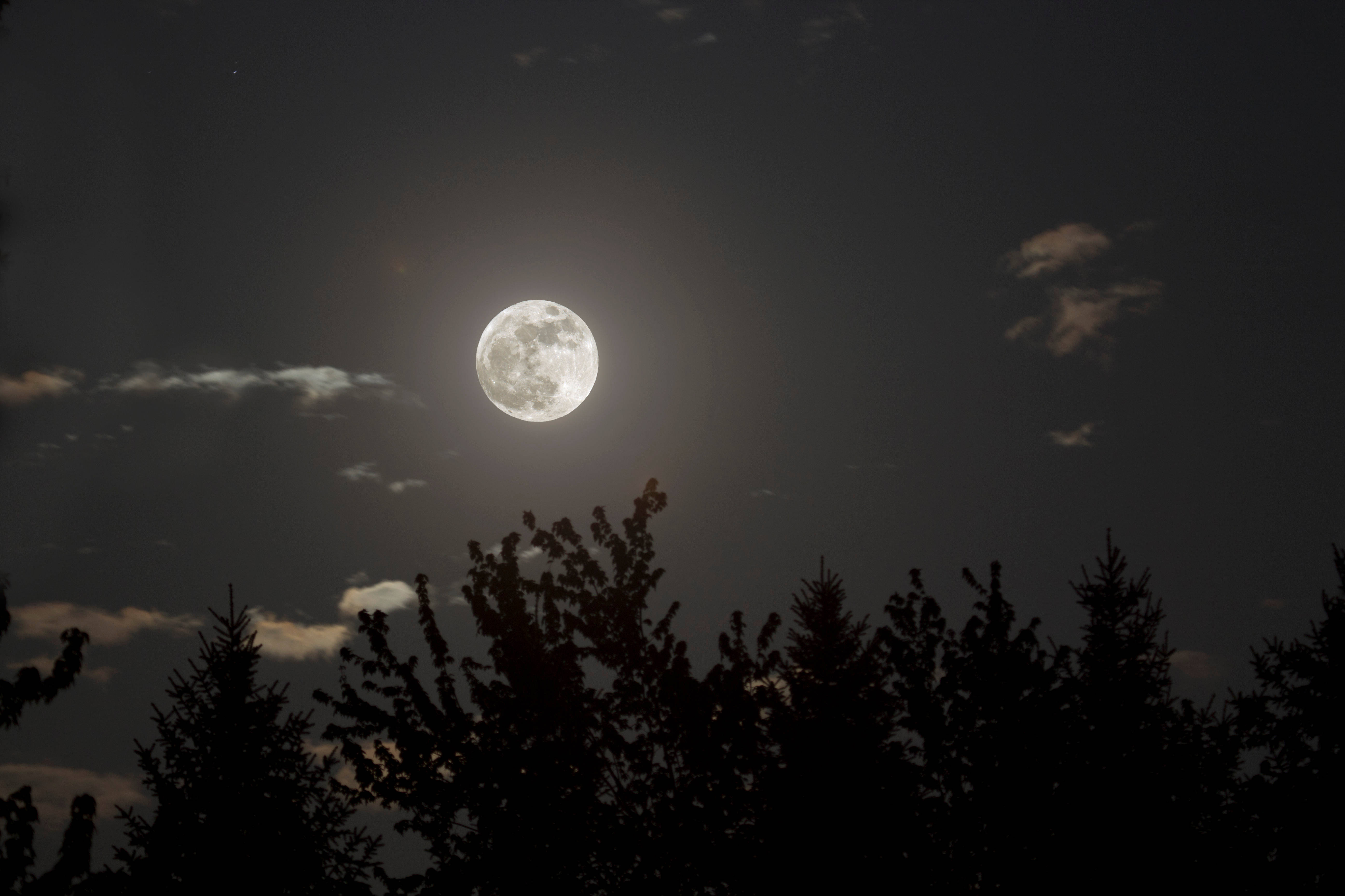 静谧夜空中的美学之月 壁纸