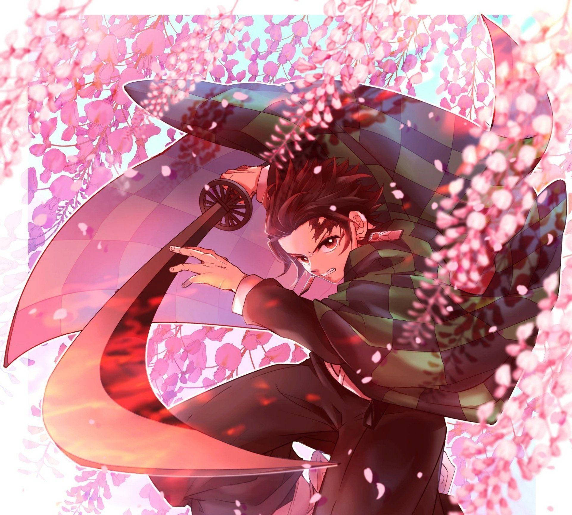 鬼灭之刃炭治郎粉色花海 壁纸