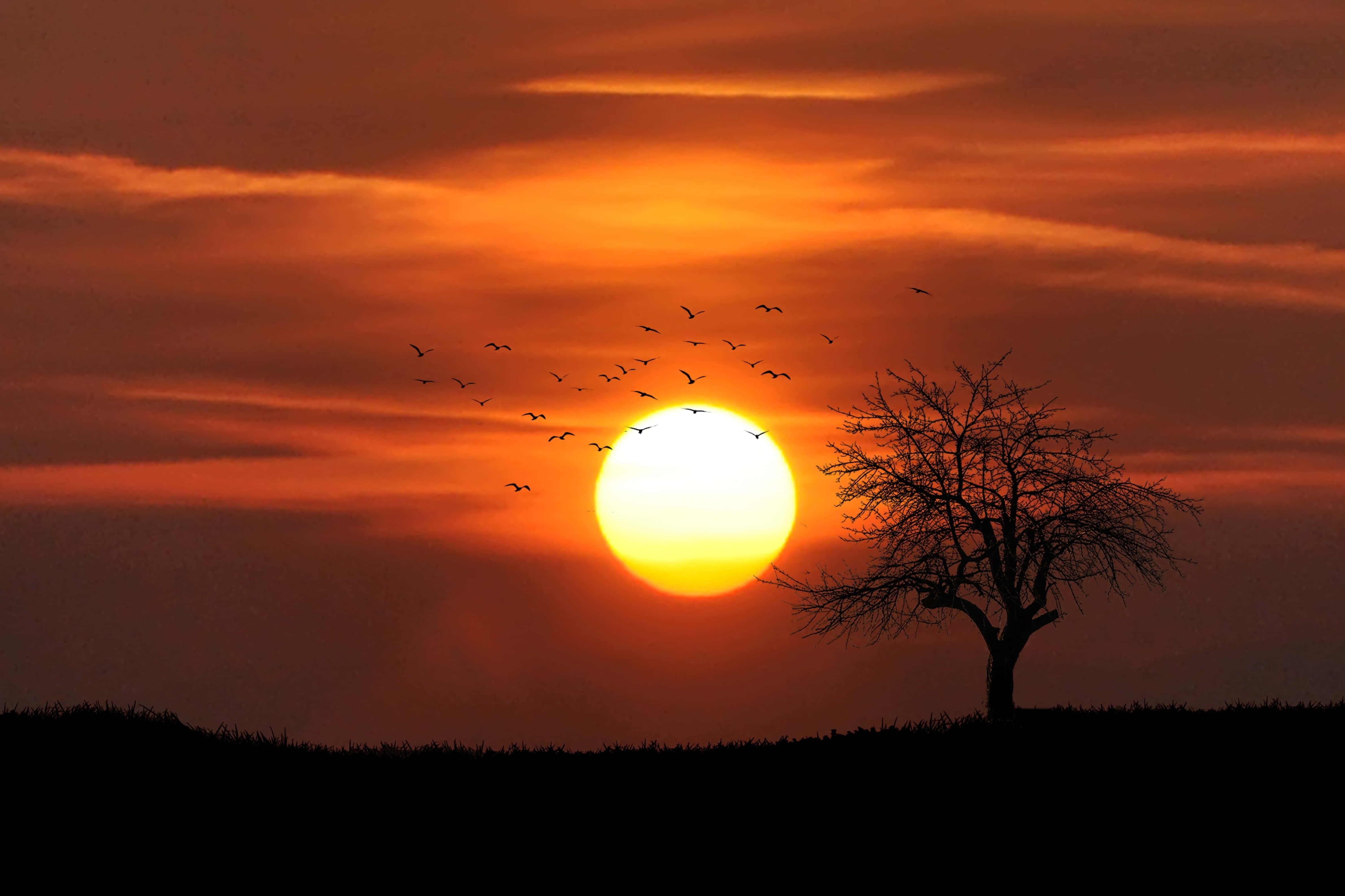 魔法夕阳 壁纸