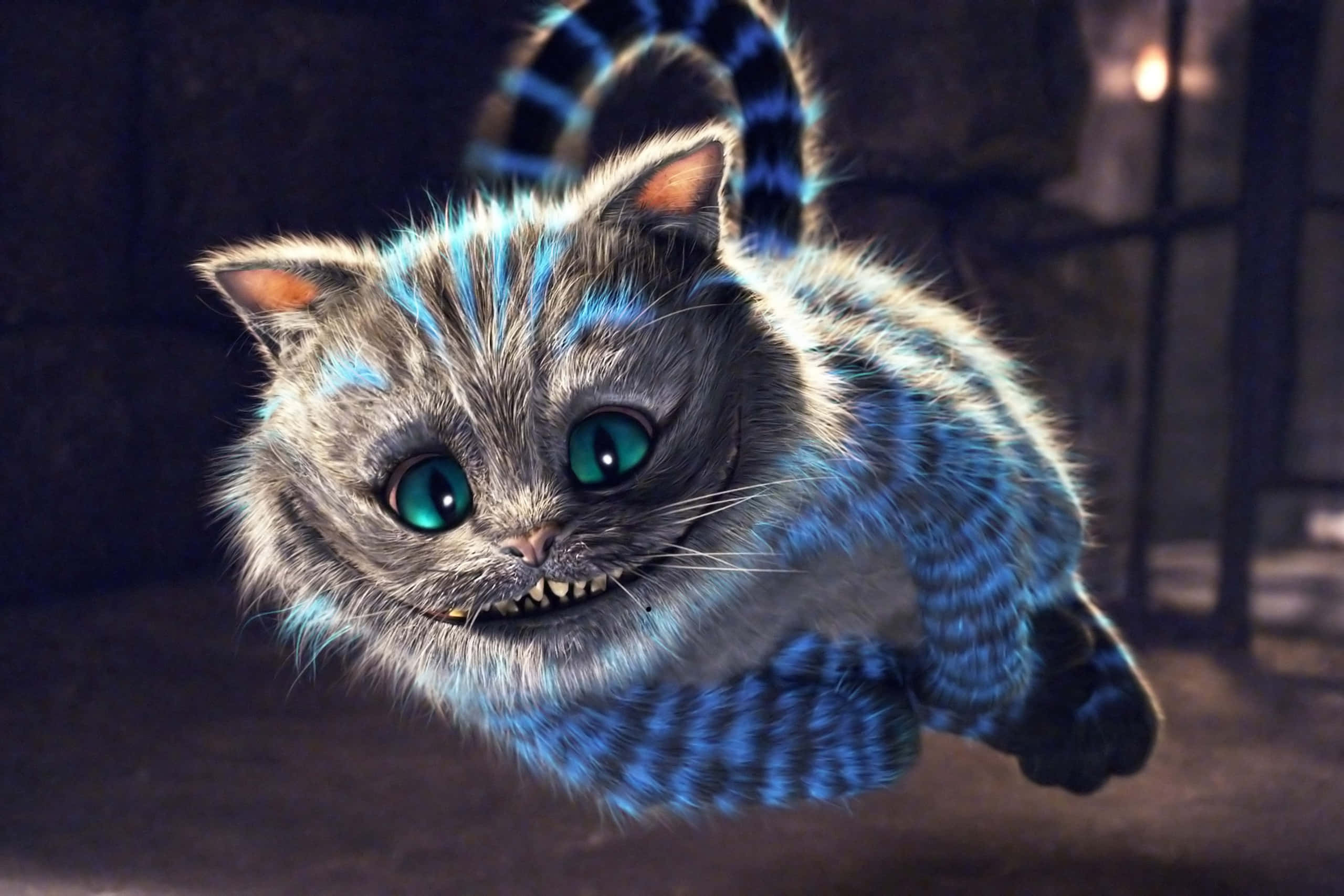 魔法柴郡猫专注凝视困惑的爱丽丝 壁纸