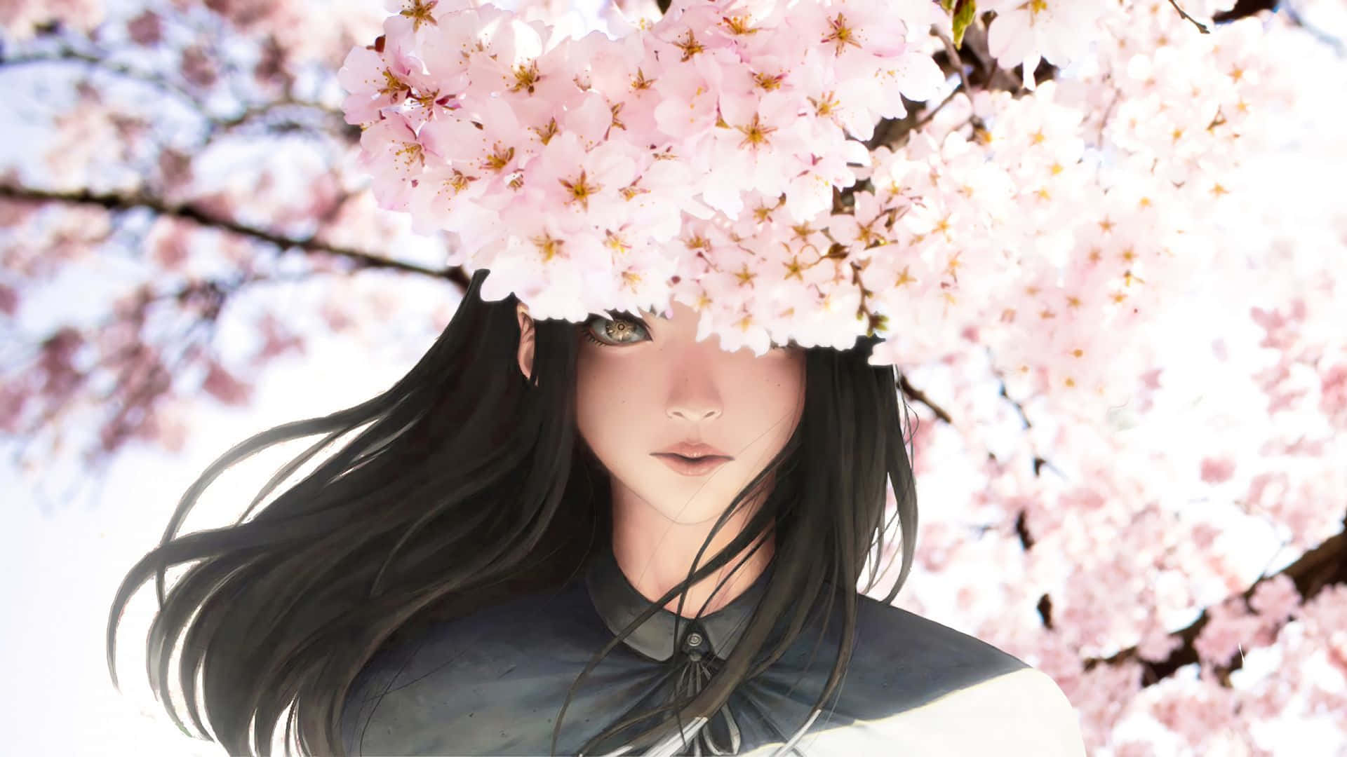 黑发美少女与樱花动漫花朵 壁纸