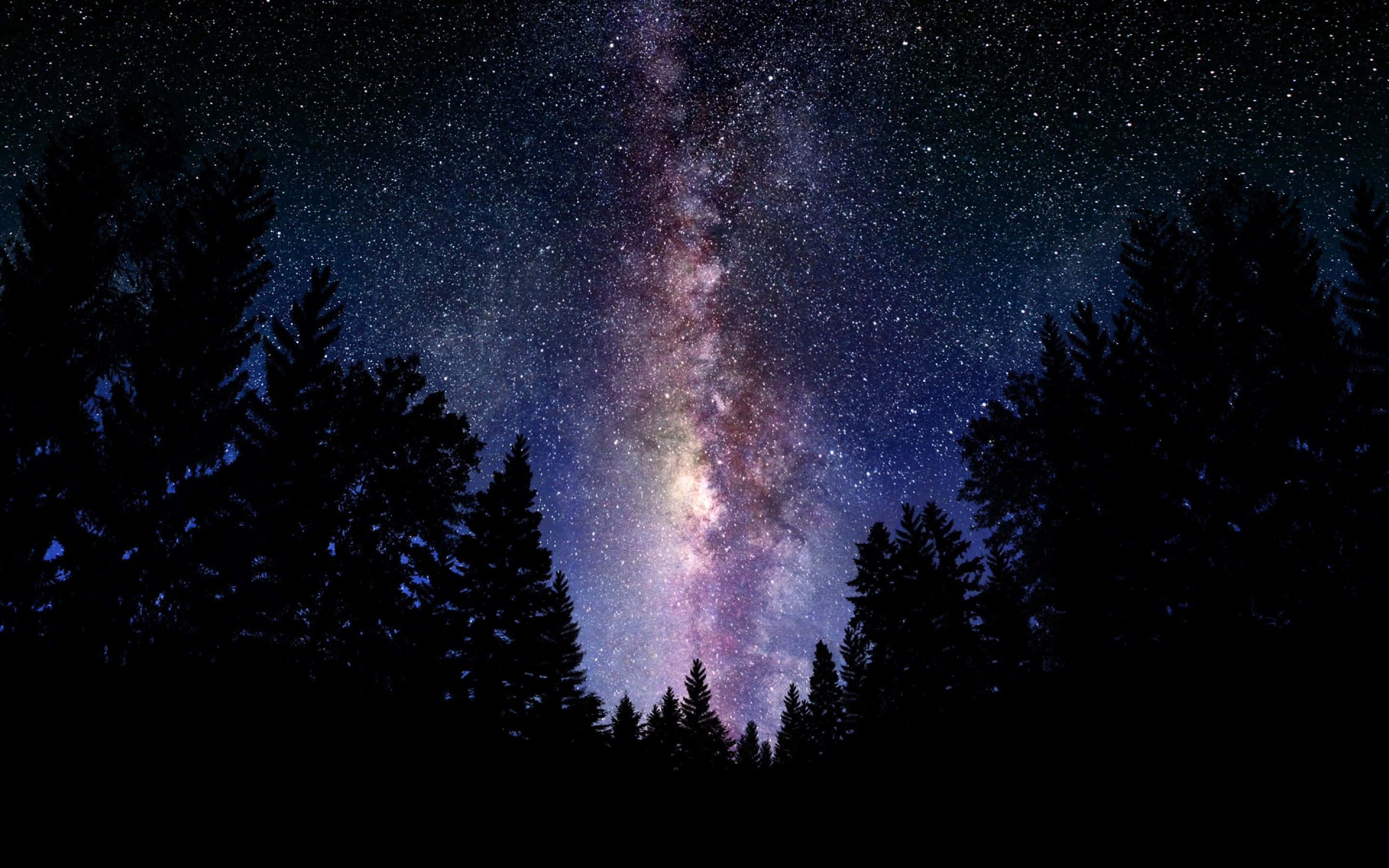 黑暗森林中的美丽星系 壁纸