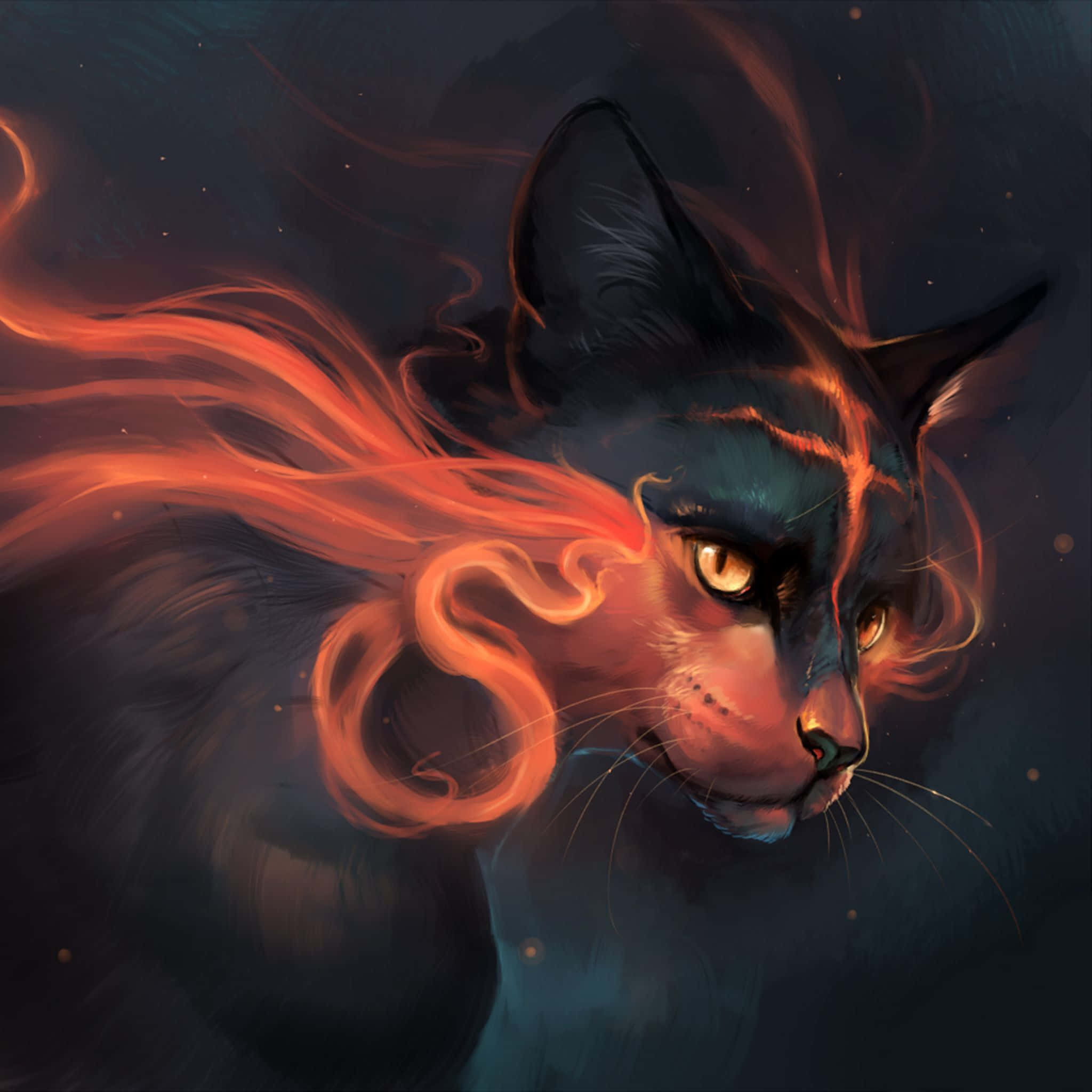 “黑猫之夜” 壁纸