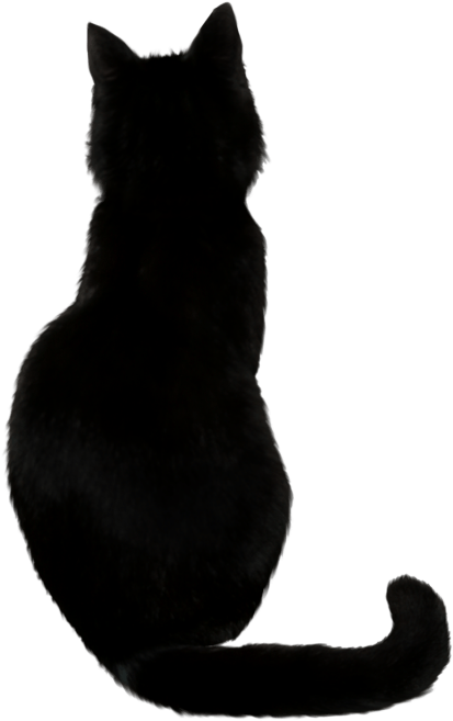 黑猫剪影 壁纸