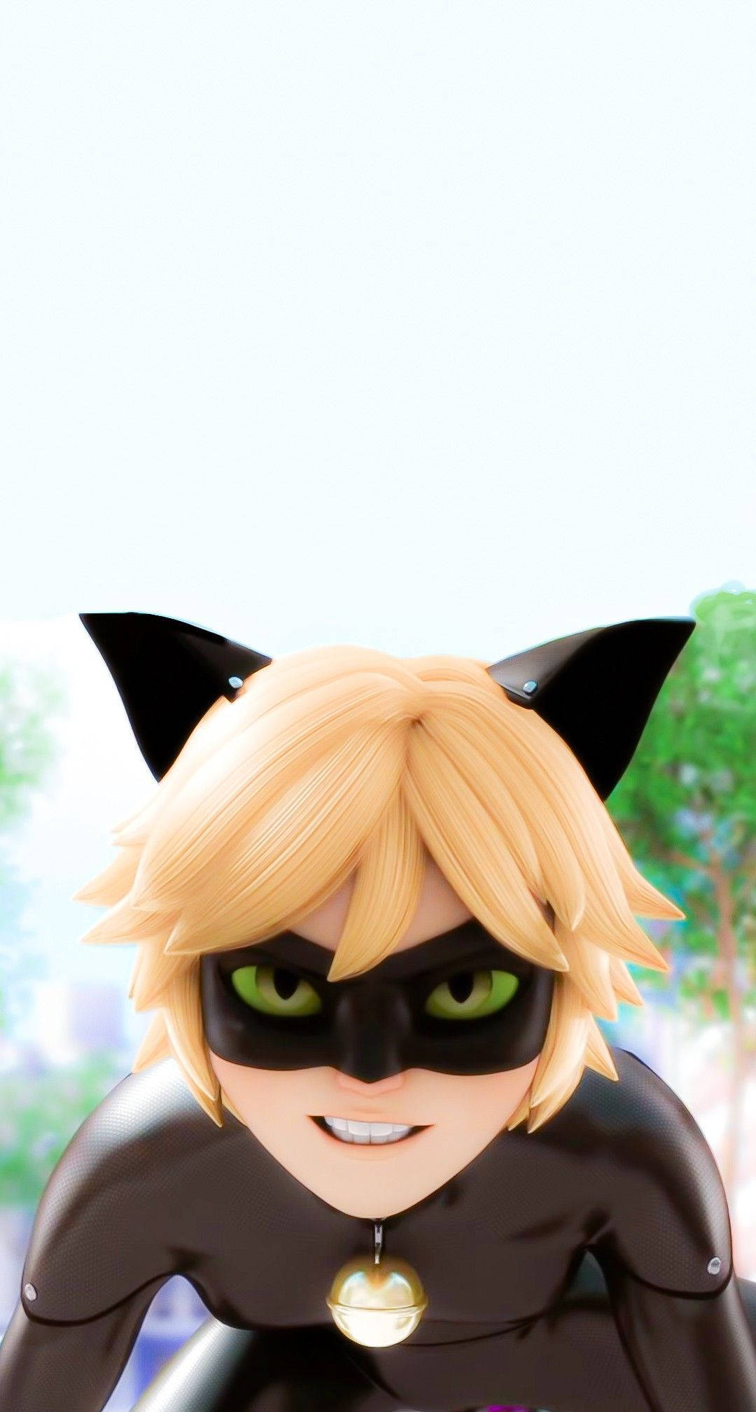 黑猫诺尔凌厉眼神 壁纸