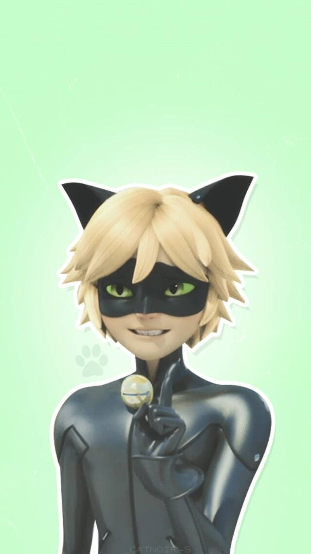 黑猫诺尔可爱手势 壁纸