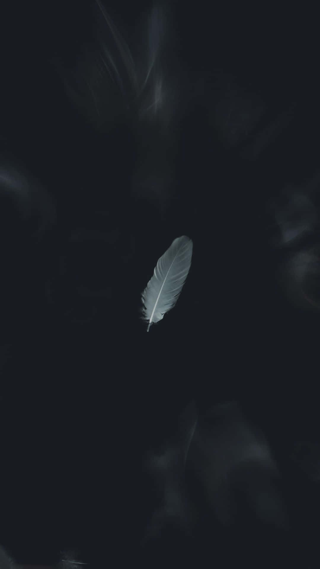 黑白美学的城市夜景 壁纸