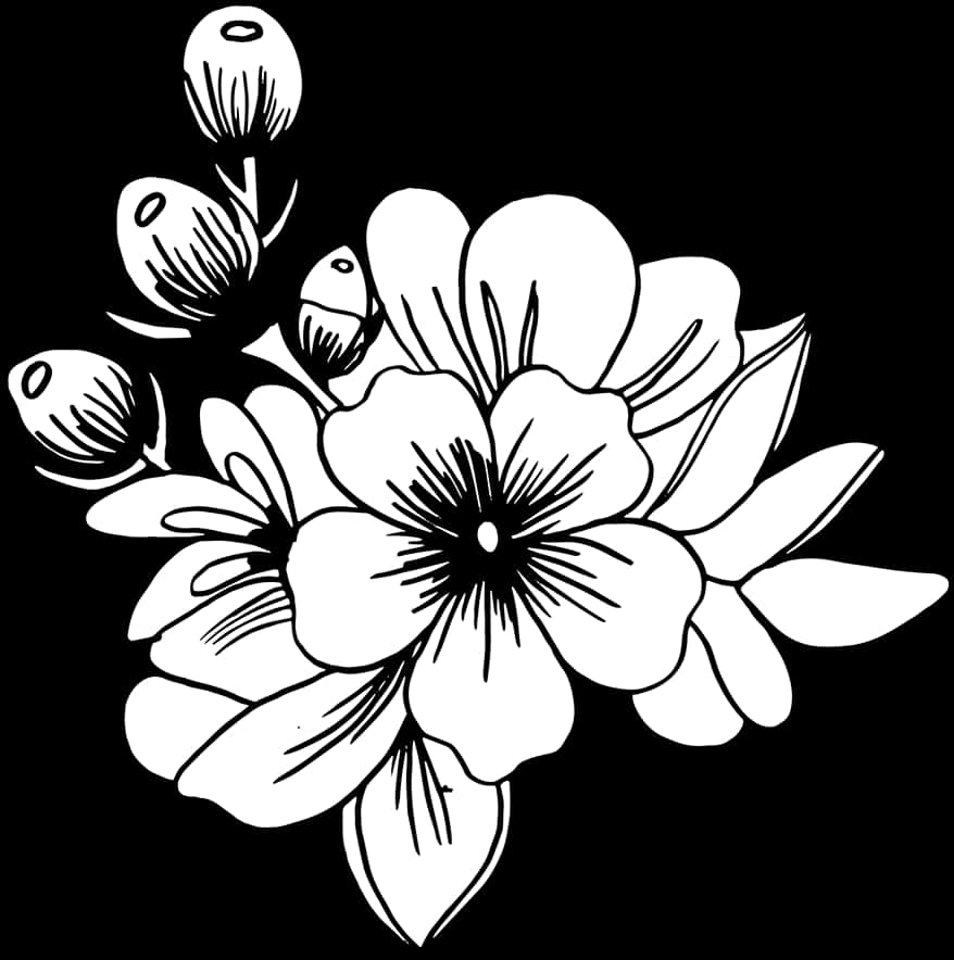 黑白花卉插图 壁纸