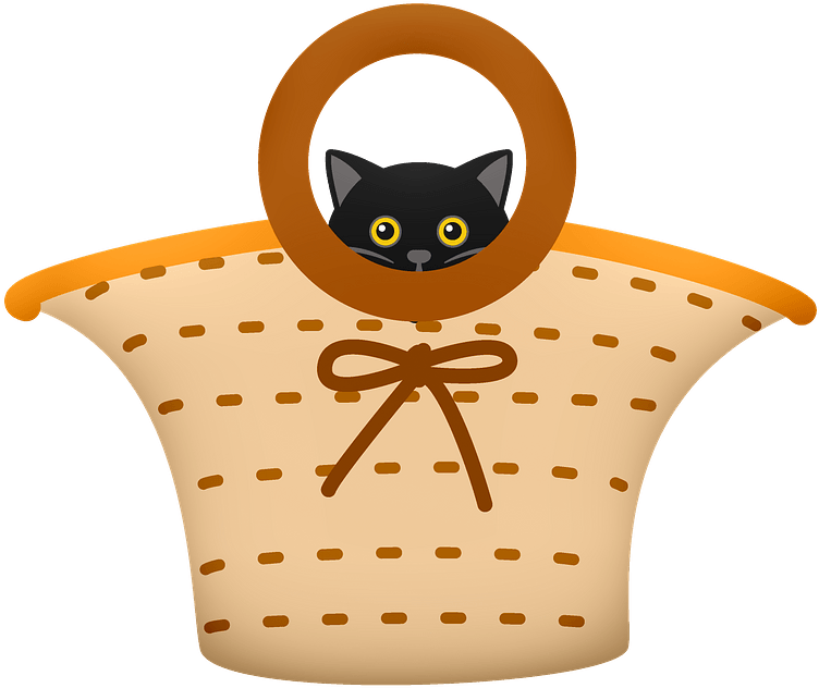 黑色猫咪篮子图案 壁纸