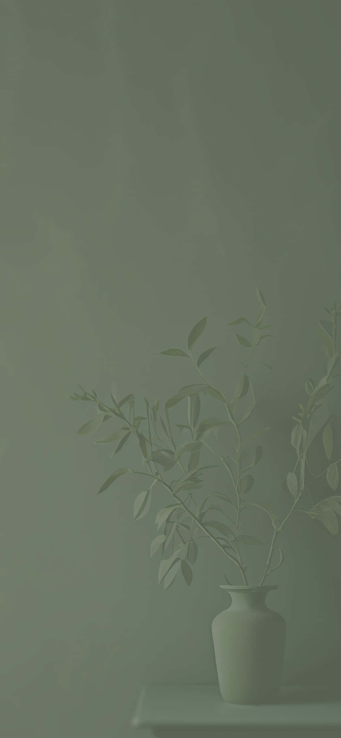 鼠尾绿的温柔宁静 壁纸
