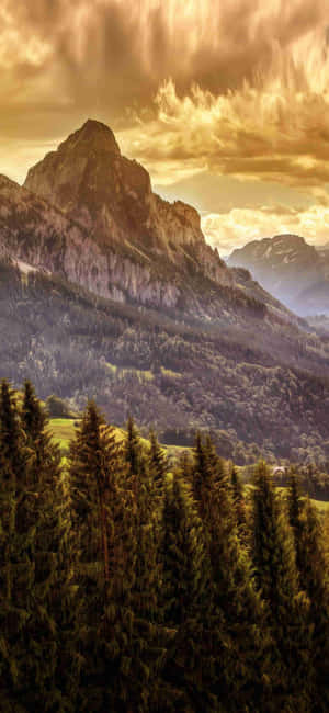 1080x2340 4K — Vivo X500 Pro Max 壁纸