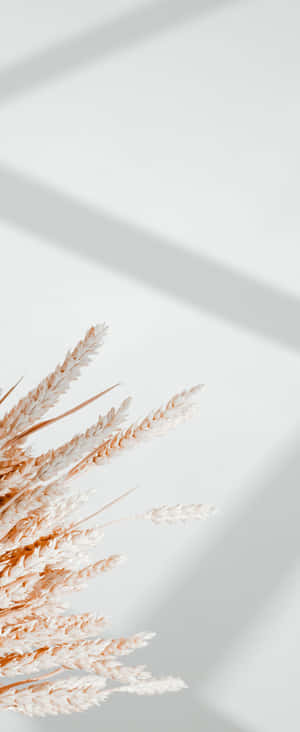1080x2636 — 小米Mix Flip 2 壁纸