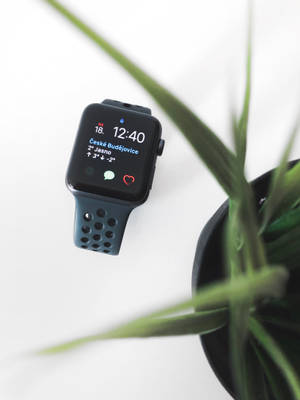 Apple Watch 美观摄影照片壁纸 — Apple Watch 壁纸