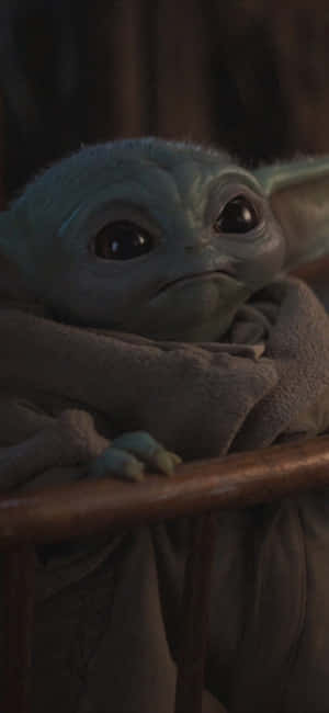 Baby Yoda Zoom 背景 — Zenfone 壁纸