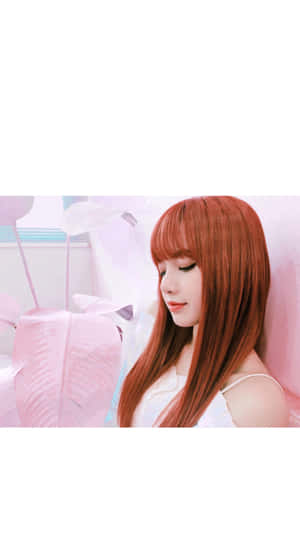 BLACKPINK图片 — BLACKPINK 壁纸