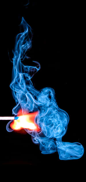 Galaxy S10 Plus 图片 — Galaxy s10 plus 动图 壁纸