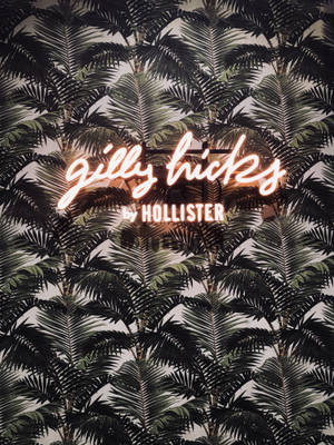 Hollister棕榈树叶壁纸 — 3:4 壁纸