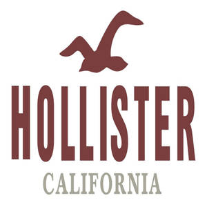 Hollister经典标志壁纸 — Tecno Phantom V Flip2 壁纸