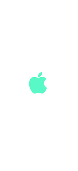 iPhone 11 绿色 — 小米14 Ultra 壁纸