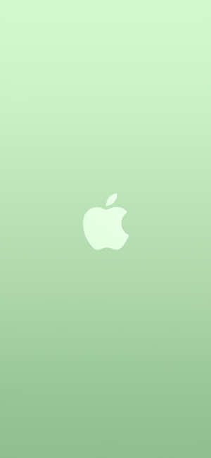 iPhone 11绿色 — Pixel 7 Pro 壁纸