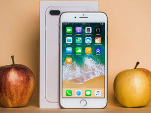 iPhone 8 与苹果