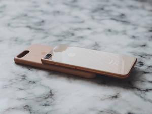 iPhone 8 带手机壳 — iPhone 8 壁纸