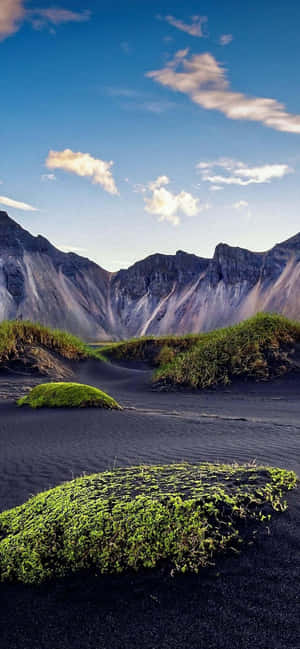 iPhone Xs Max Apple 背景 — Oppo K14 壁纸