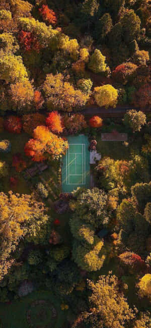 iPhone Xs 网球背景 — 荣耀Magic8 壁纸