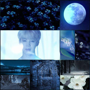 Jimin BTS 美学月光仙境 — 防弹少年团美学 壁纸