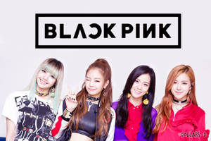 Blackpink 成员在白色背景上侧靠壁纸