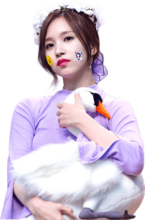 Kpop明星与毛绒天鹅