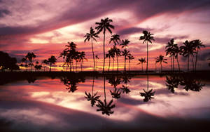 Macbook Air Island Sunset — MacBook Air 壁纸