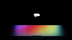 Macbook 美学图片 — 美学电脑 壁纸